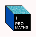 Pro Maths Tutors
